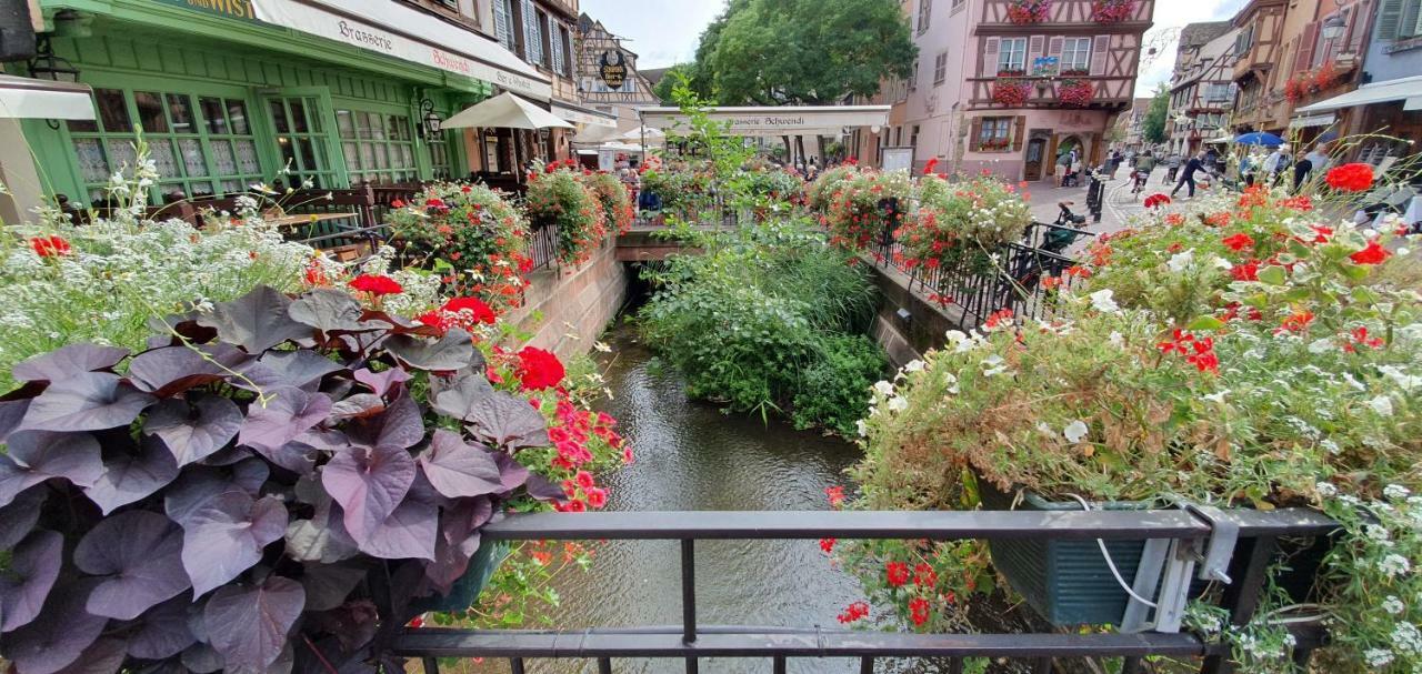 Apartament Evasion St Joseph Odysalis - Lit King Size - Parking - Proche Centre Colmar Zewnętrze zdjęcie